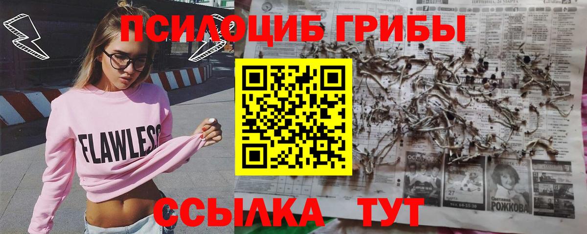Псилоцибиновые грибы мицелий  Галлюциногенные грибы GOLDEN TEACHER  Холмск  Вход с VPN 